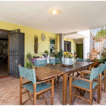 L'olivo Apartment