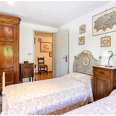 L'olivo * Lucca
